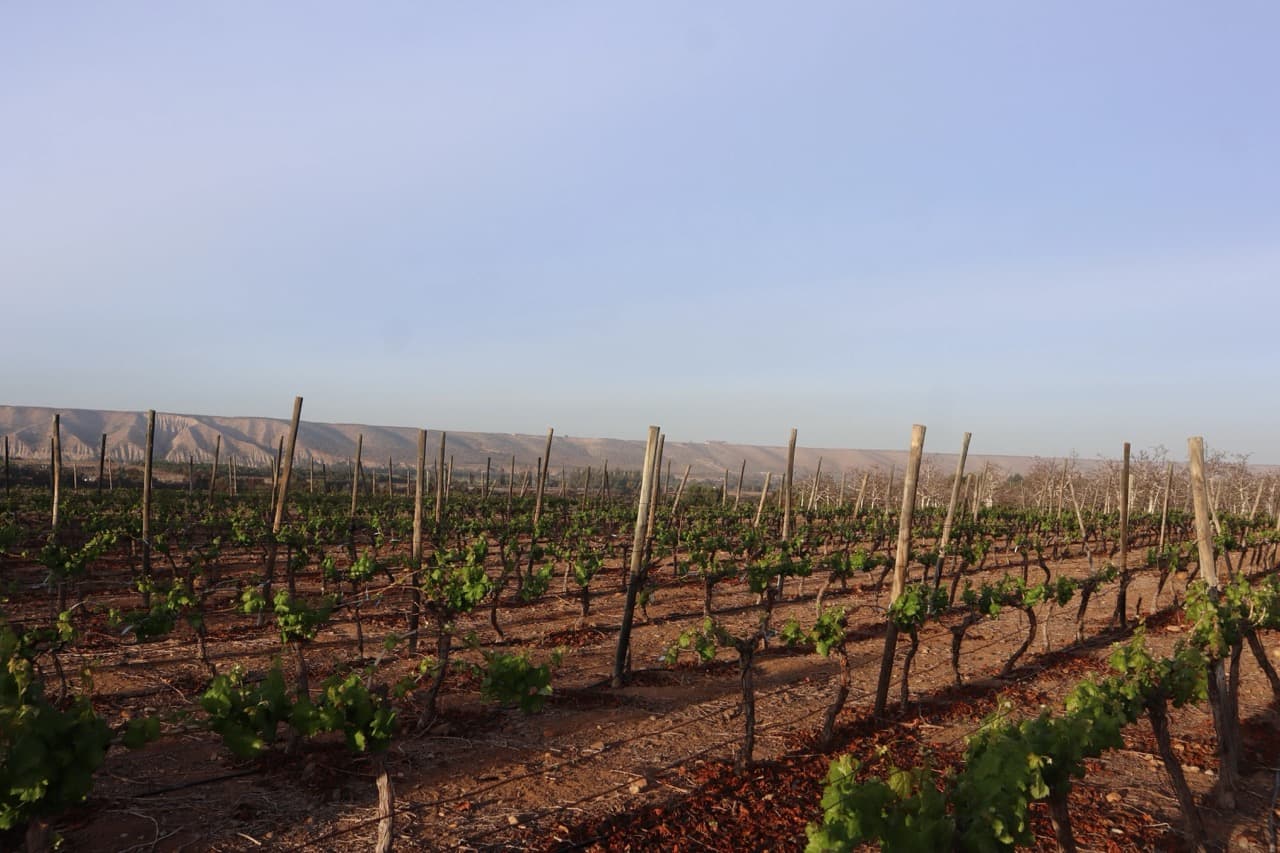 Bodega OchoTierras