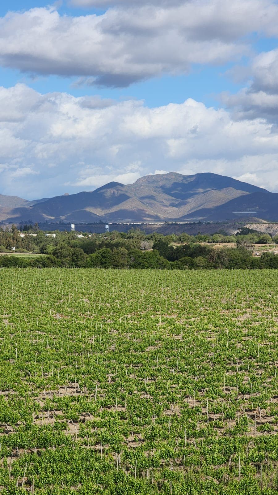 Valle del Limarí